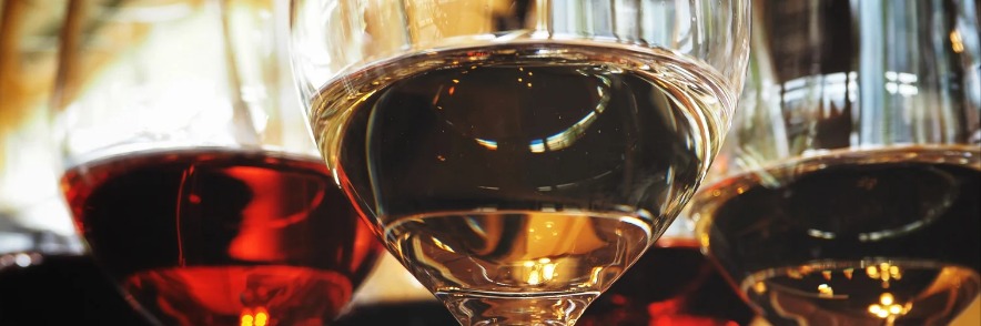 Wine tasting & pairing with Kwagga Boucher