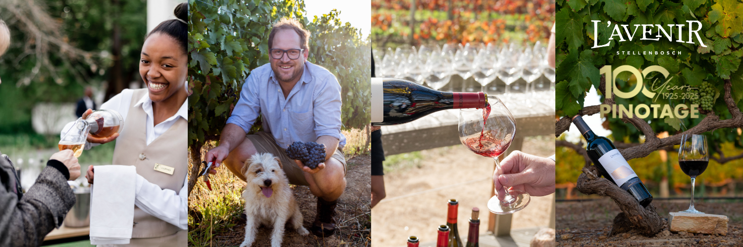Pinotage Masterclass at L’Avenir: Celebrating 100 Years of a South African Icon