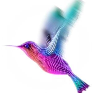 Crallan Sunbird live at Neverending Story