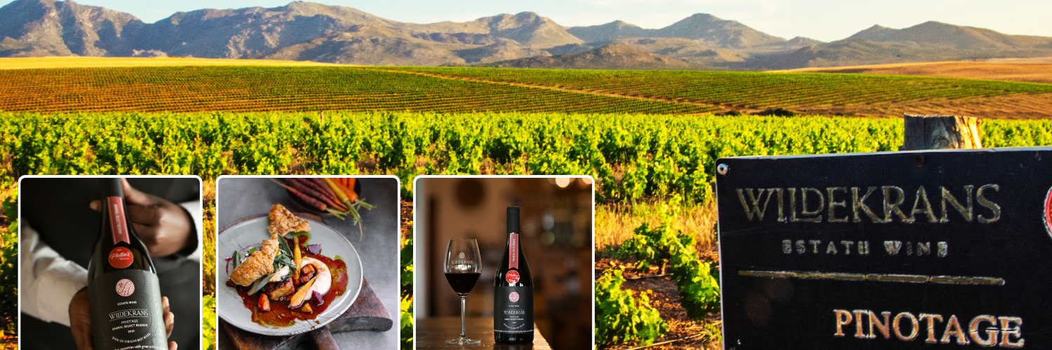 Beyond the Glass - The Pinotage Culinary Experience