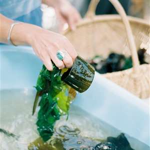 Coastal Forage Experience with Veld and Sea - 22 November