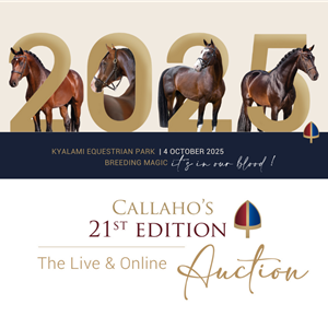 21st Callaho Live & Online Auction