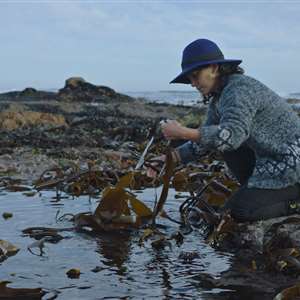 Coastal Forage Experience with Veld and Sea - 6 December