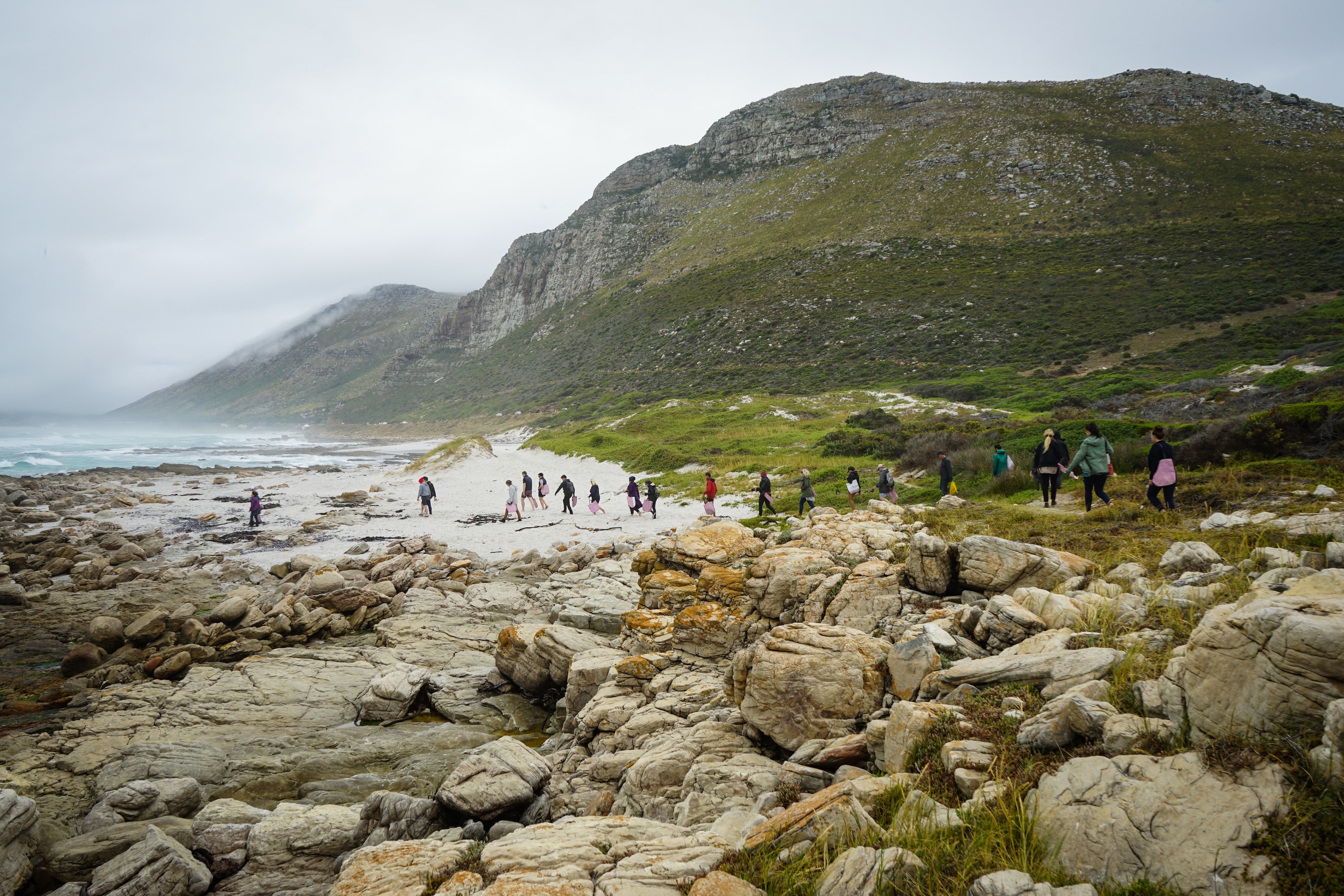 Coastal Forage Experience with Veld and Sea - 22 November