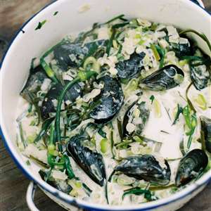 Coastal Forage Experience with Veld and Sea - 3 January