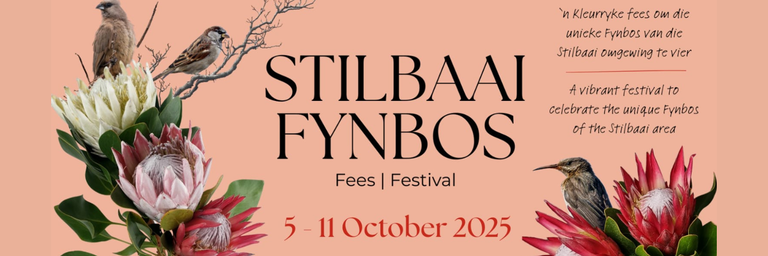 Fynbos in Stilbaai-tuine