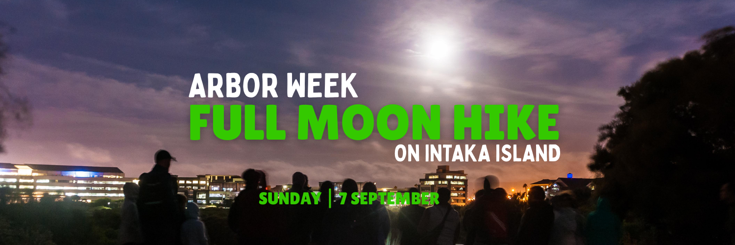 Full Moon Hike on Intaka Island