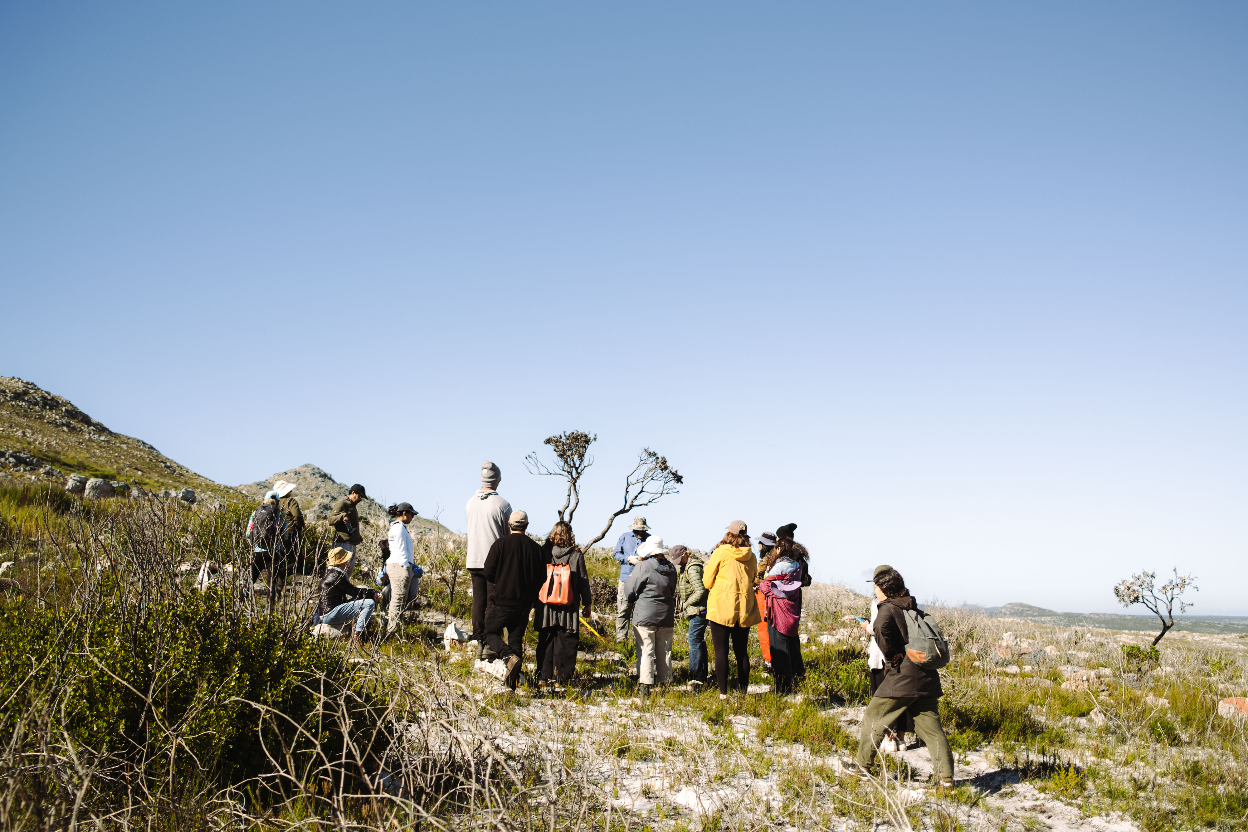 Guided Fynbos Walk with Rupert Koopman and Veld and Sea - 9 November