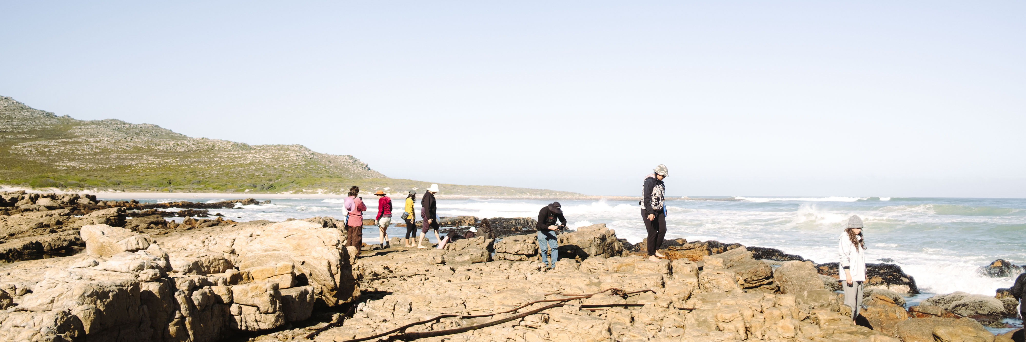 Coastal Forage Experience with Veld and Sea - 20 December