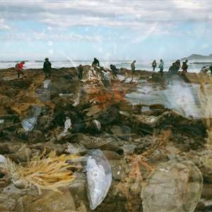Coastal Forage Experience with Veld and Sea - 21 December