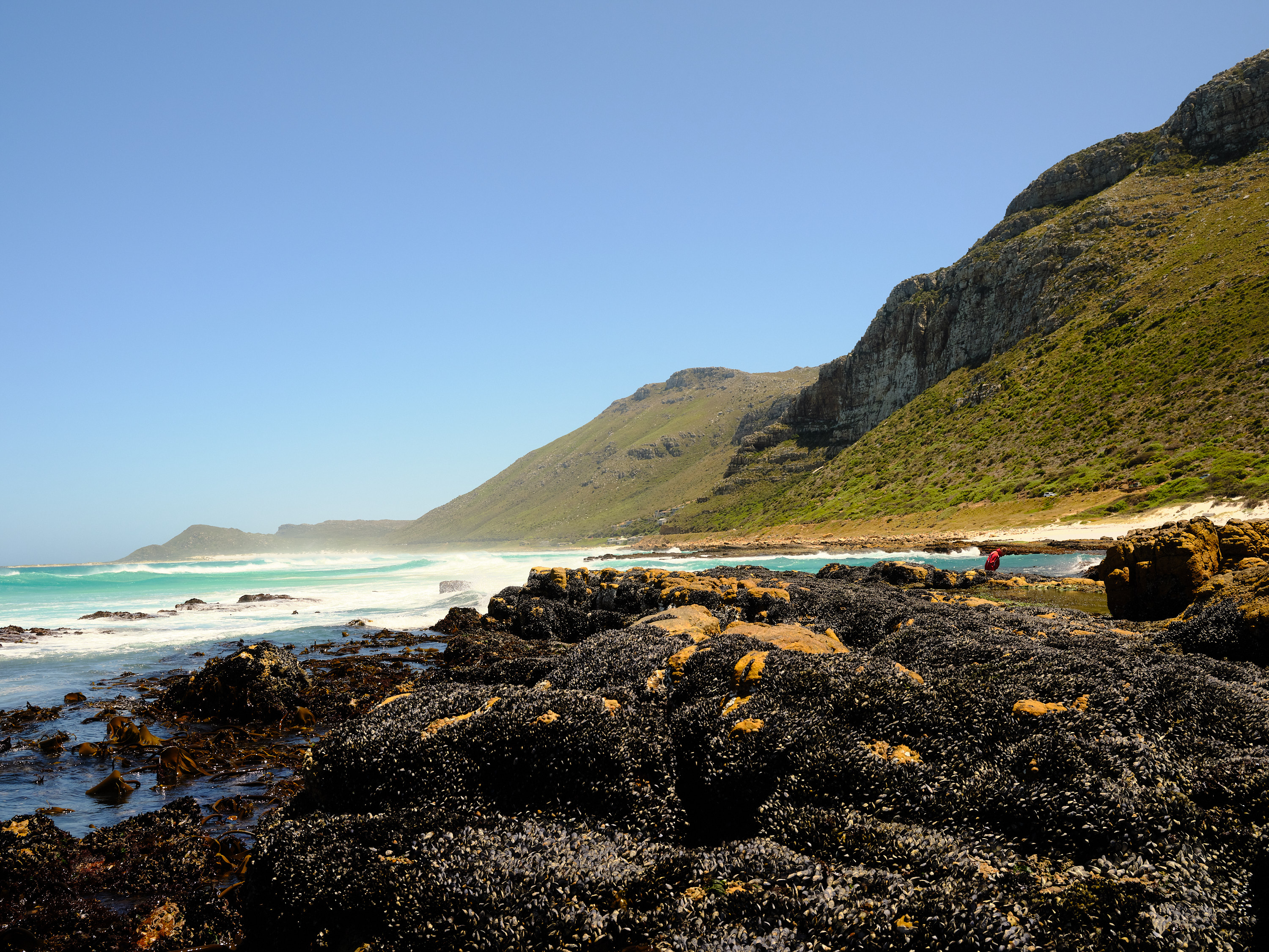 Coastal Forage Experience with Veld and Sea - 21 December