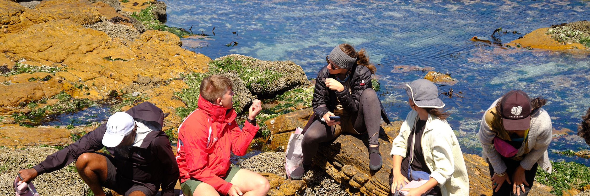 Coastal Forage Experience with Veld and Sea - 18 January