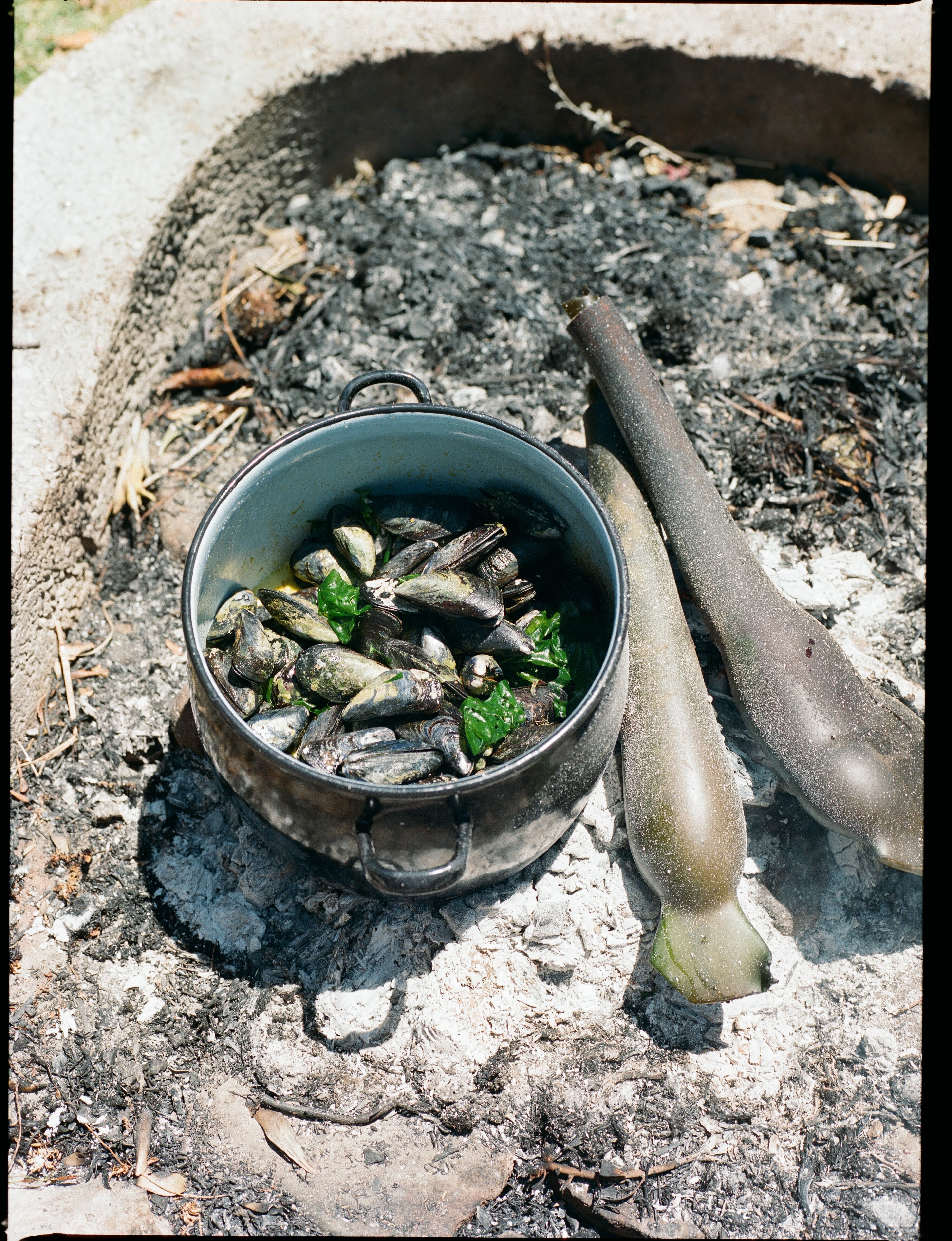 Coastal Forage Experience with Veld and Sea - 1 February