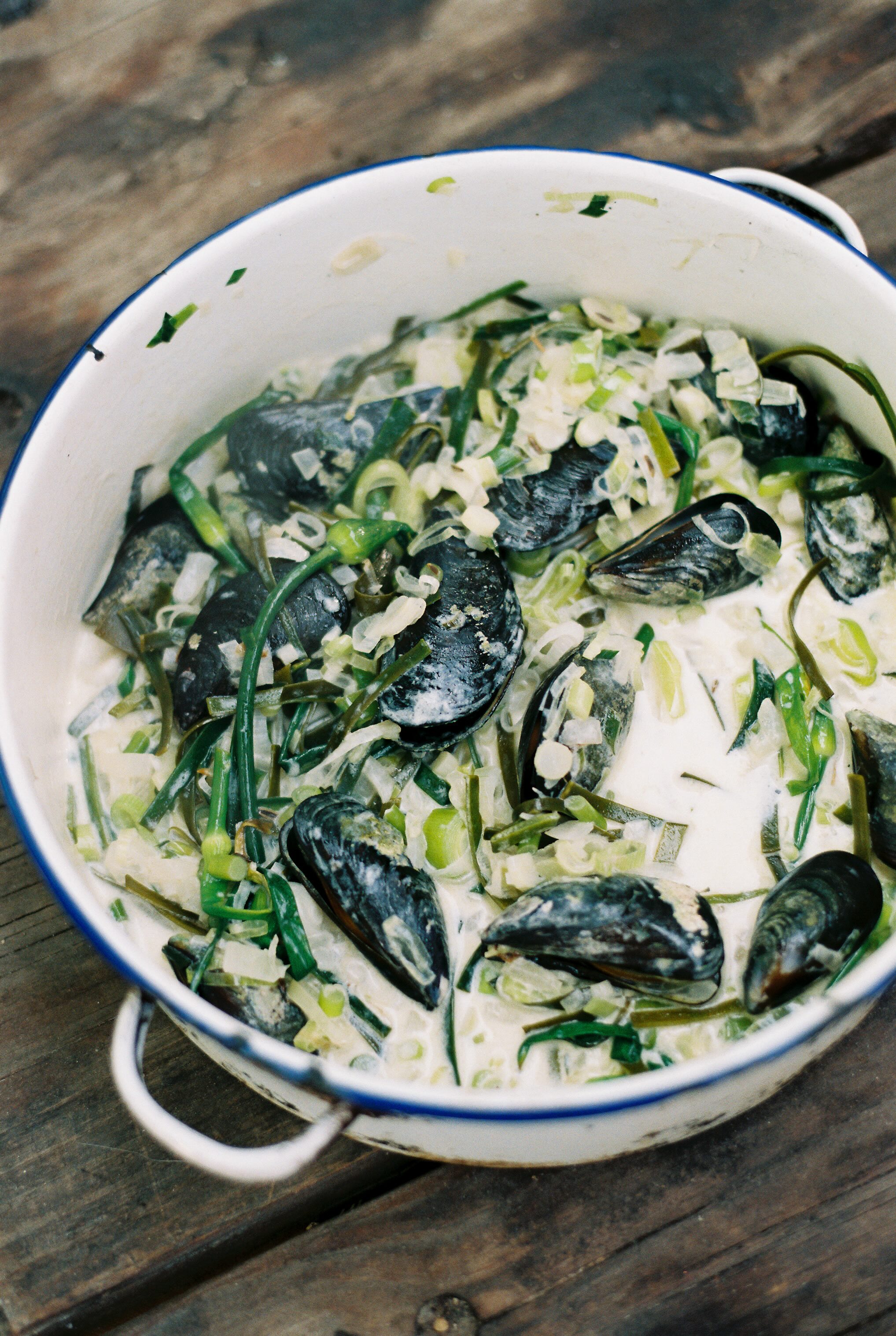 Coastal Forage Experience with Veld and Sea - 17 February