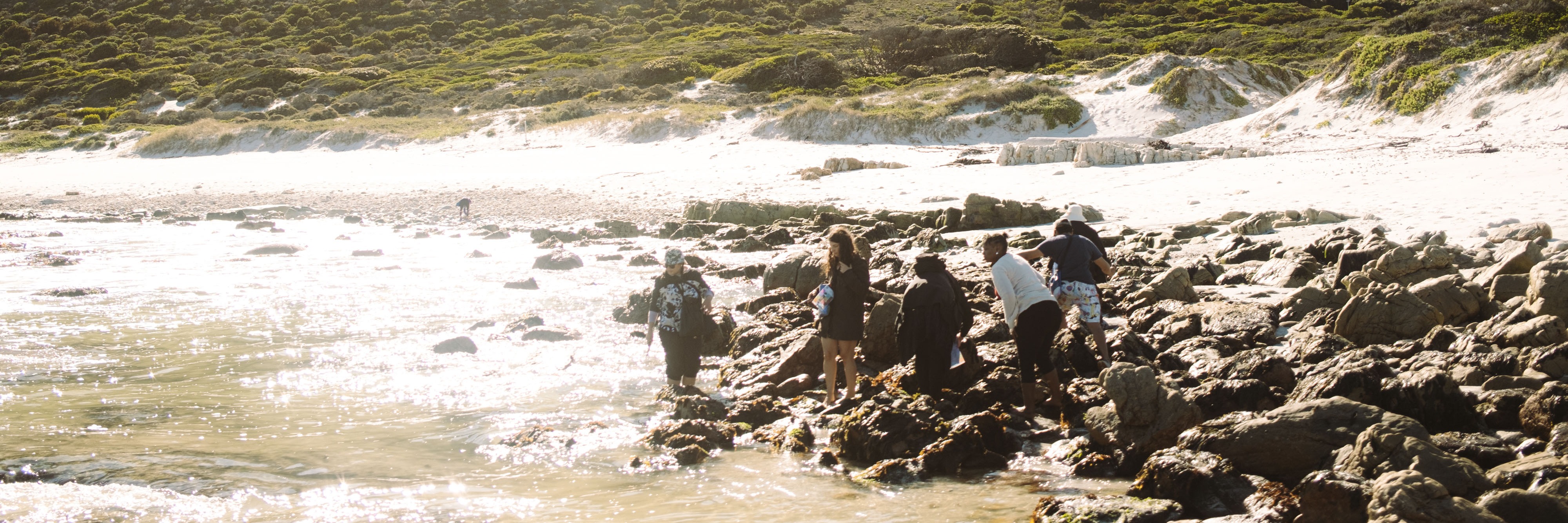 Coastal Forage Experience with Veld and Sea - 21 March
