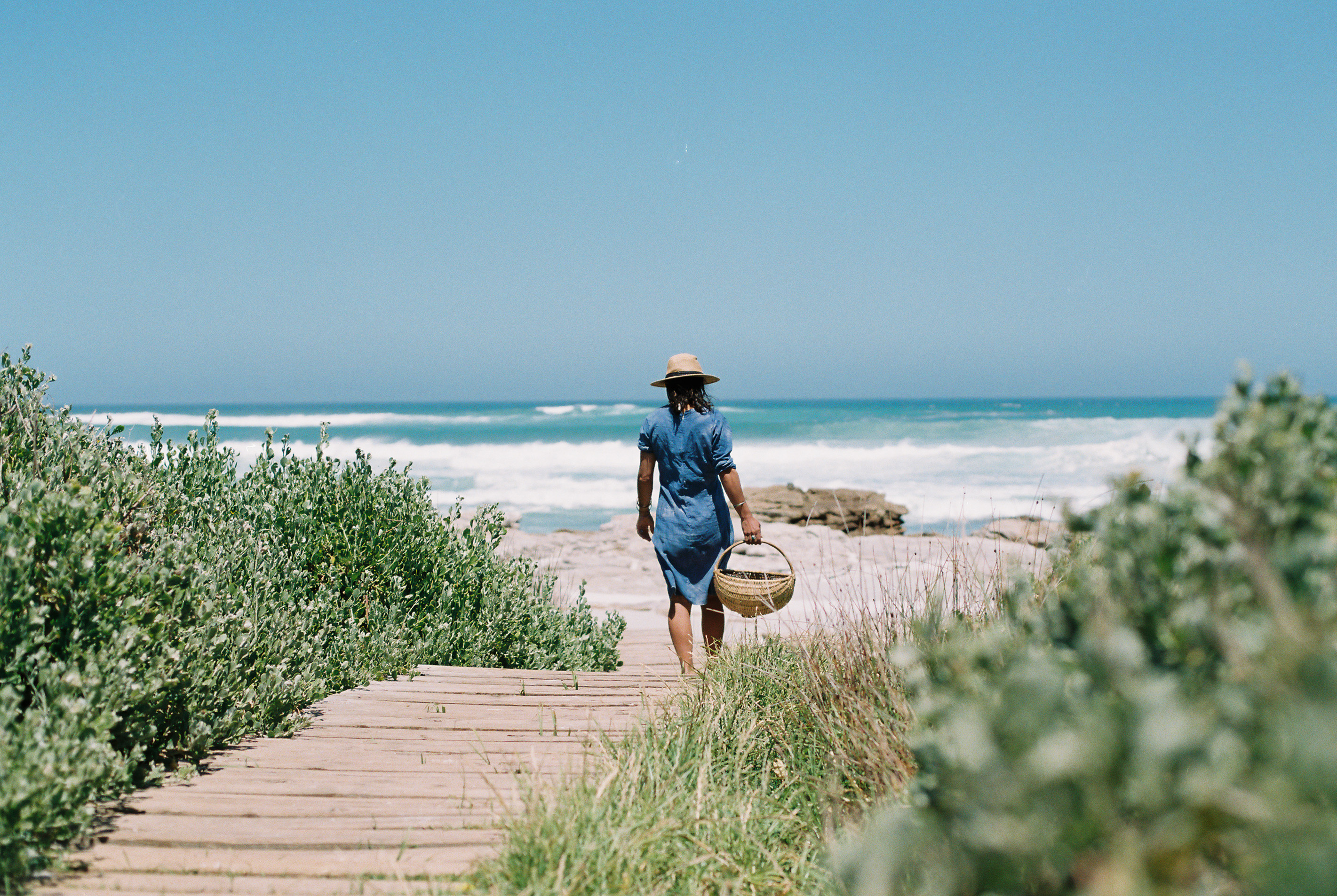 Coastal Forage Experience with Veld and Sea - 20 March