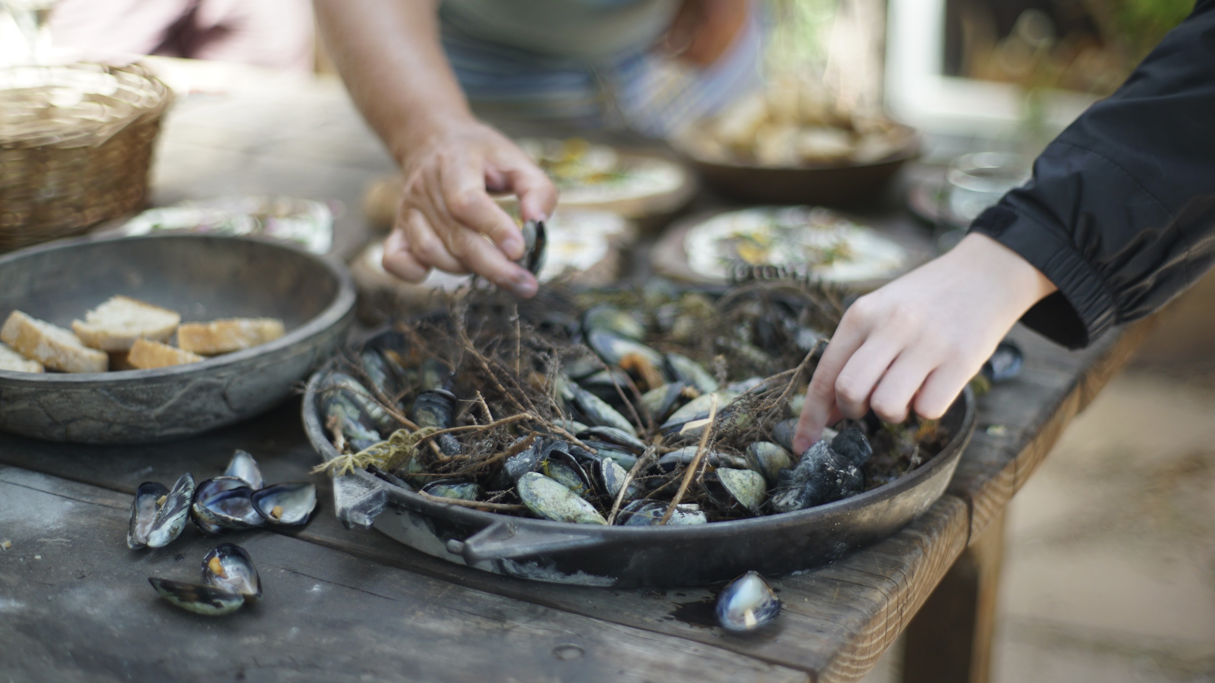 Coastal Forage Experience with Veld and Sea - 4 March