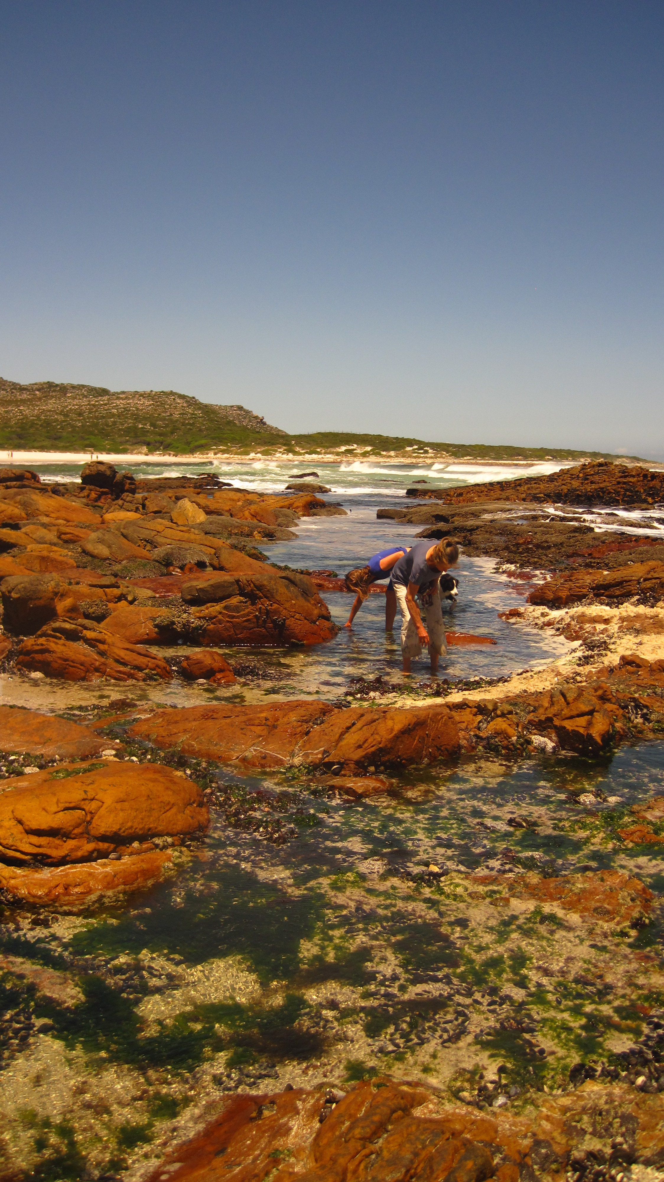 Coastal Forage Experience with Veld and Sea - 3 March