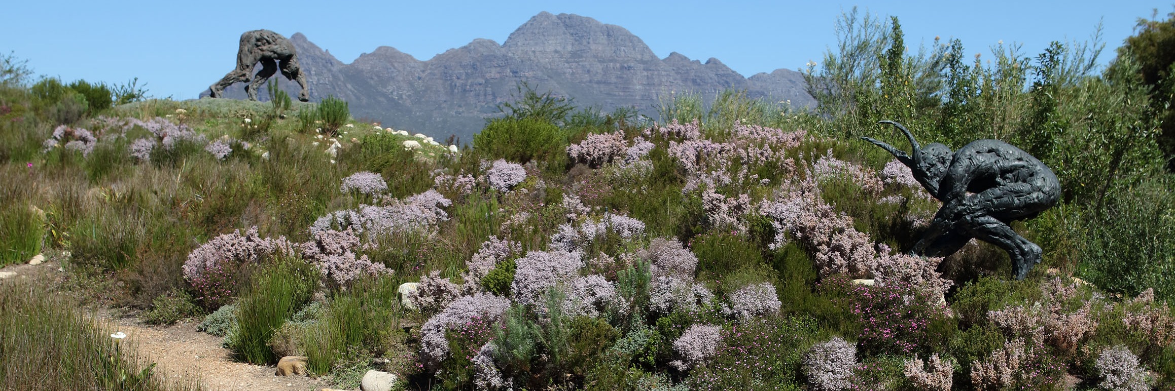 Guided Walk with Diane Harper