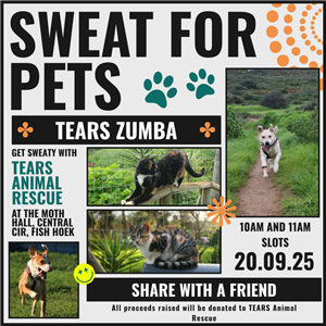 Sweat for Pets