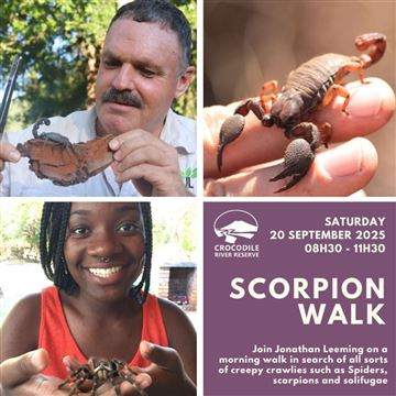 Scorpion Walk & Talk 2025 photo 1