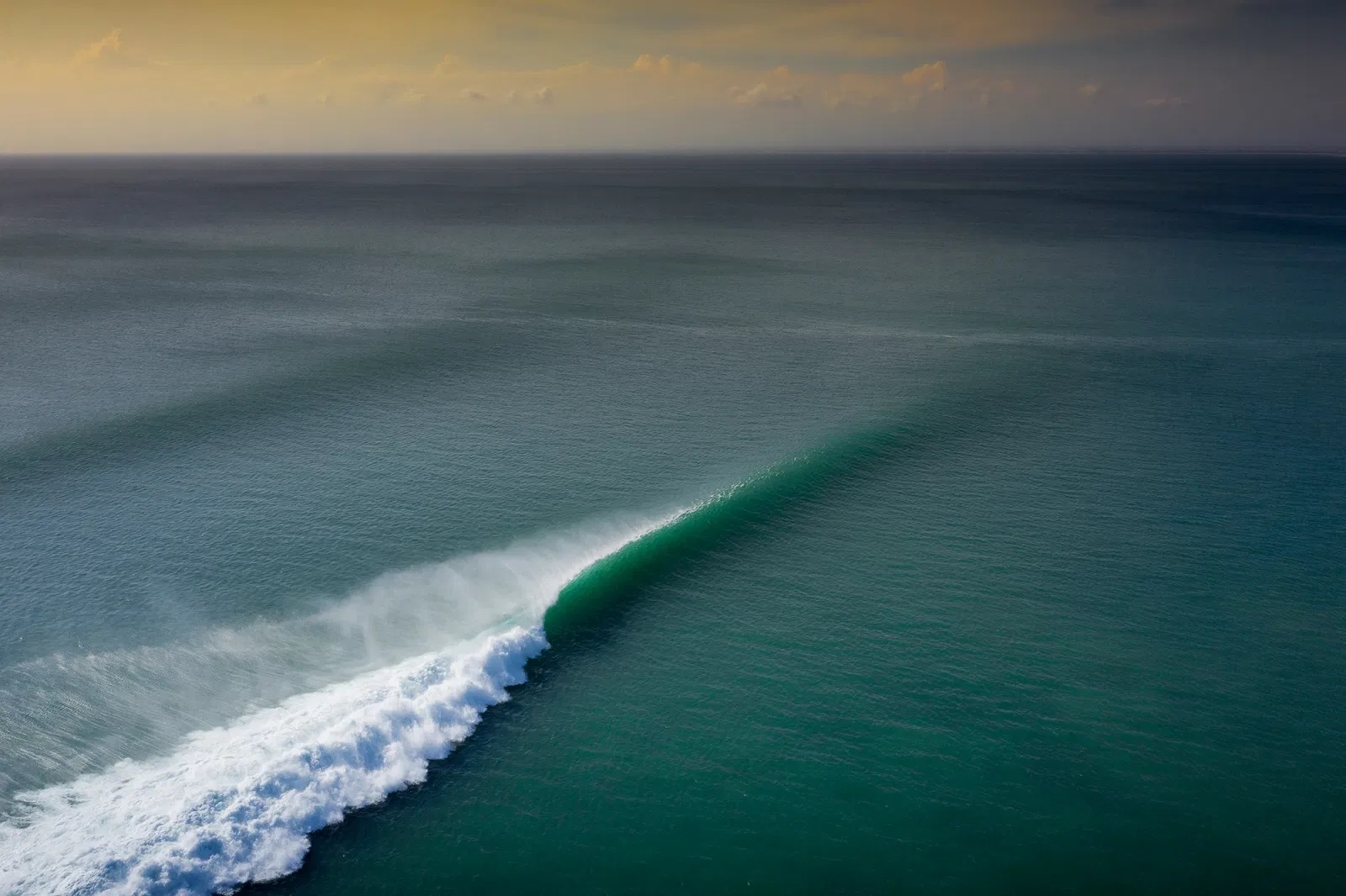 Spike Swell Course Spring Edition Event Booking FindMy Spike Swell Course Spring Edition Event Booking FindMy