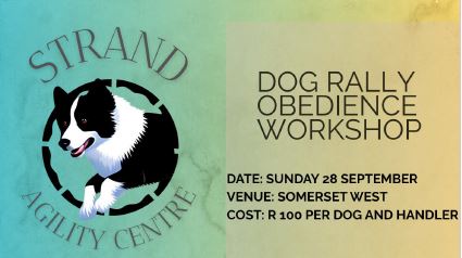 Rally Obedience Workshop