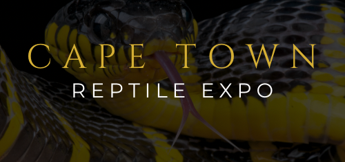 Cape Town Reptile Expo hosted by Invesrep, Partnered with Knowledge in Nature