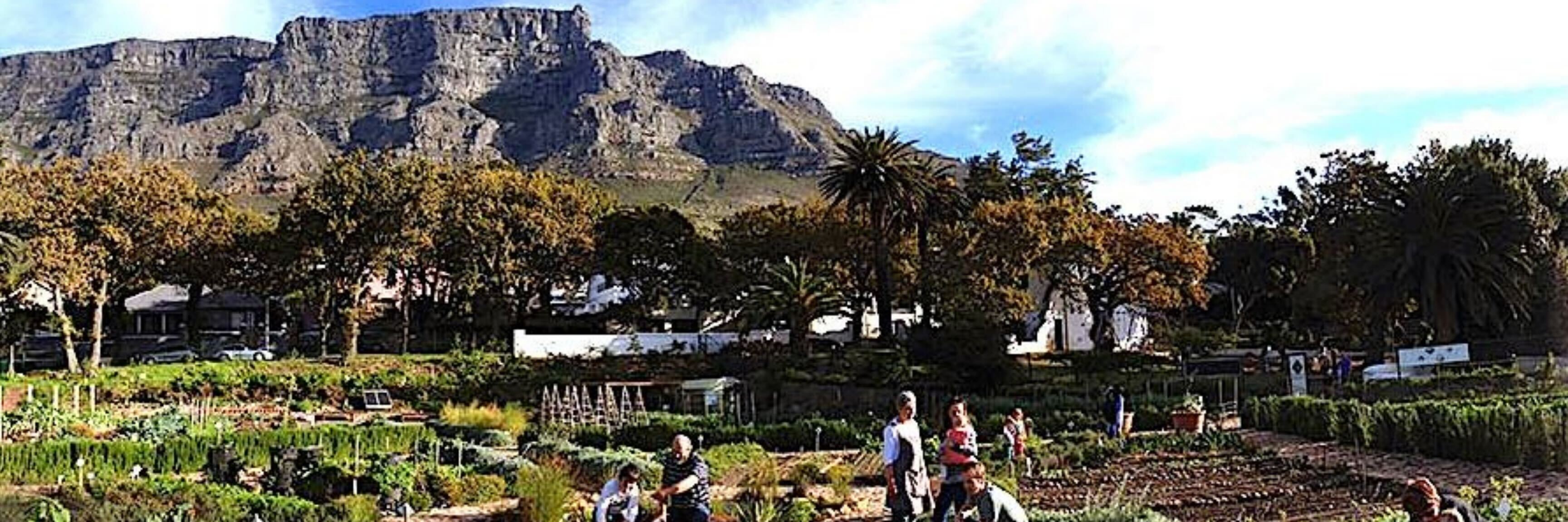 SPRING BOTANICAL EMBROIDERY WORKSHOP