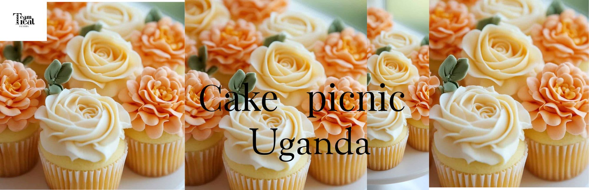 Cake picnic Uganda