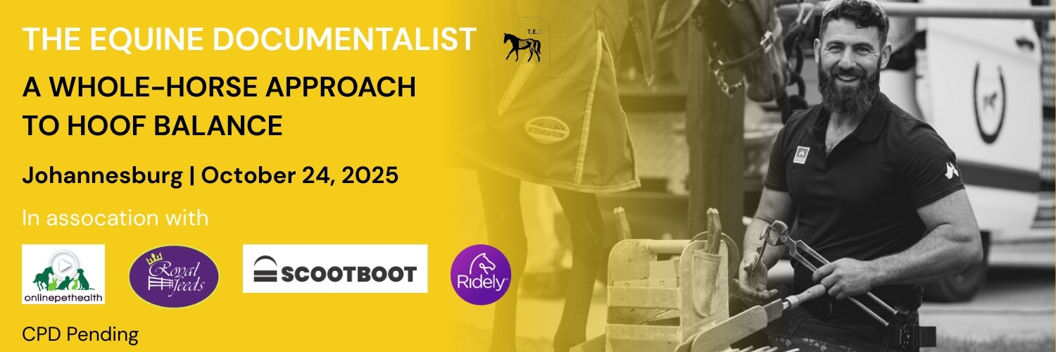 The Equine Documentalist (Yogi Sharp) - Johannesburg