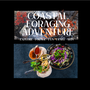 Foraging adventure - Sustainable Seaweed and mollusk foraging
