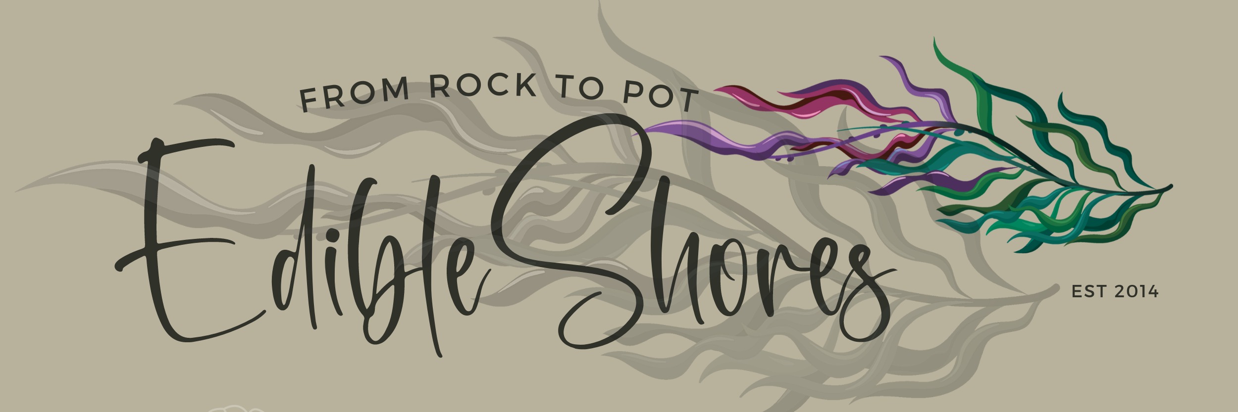 Foraging adventure - Sustainable Seaweed and mollusk foraging