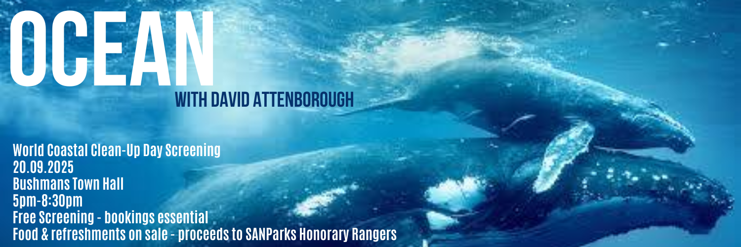Ocean with David Attenborough Screening on World Coastal Clean-Up Day 2025