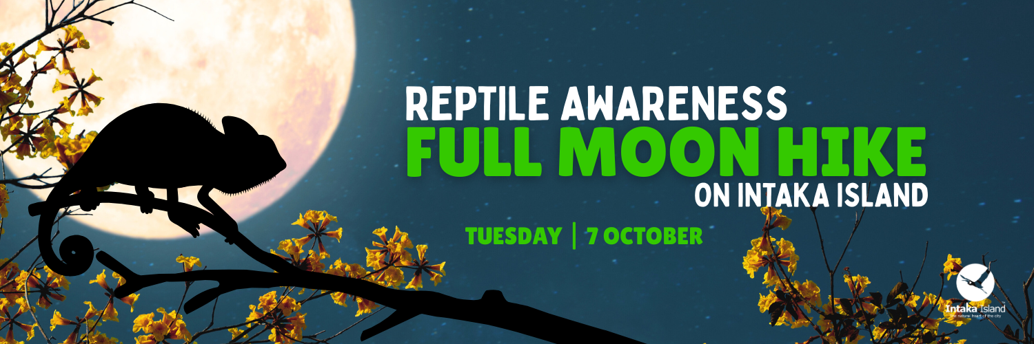 Reptile Awareness Full Moon Hike