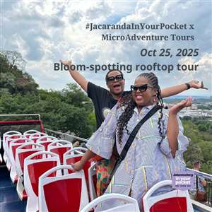 #JacarandaInYourPocket x MicroAdventure Tours bloom-spotting rooftop tour