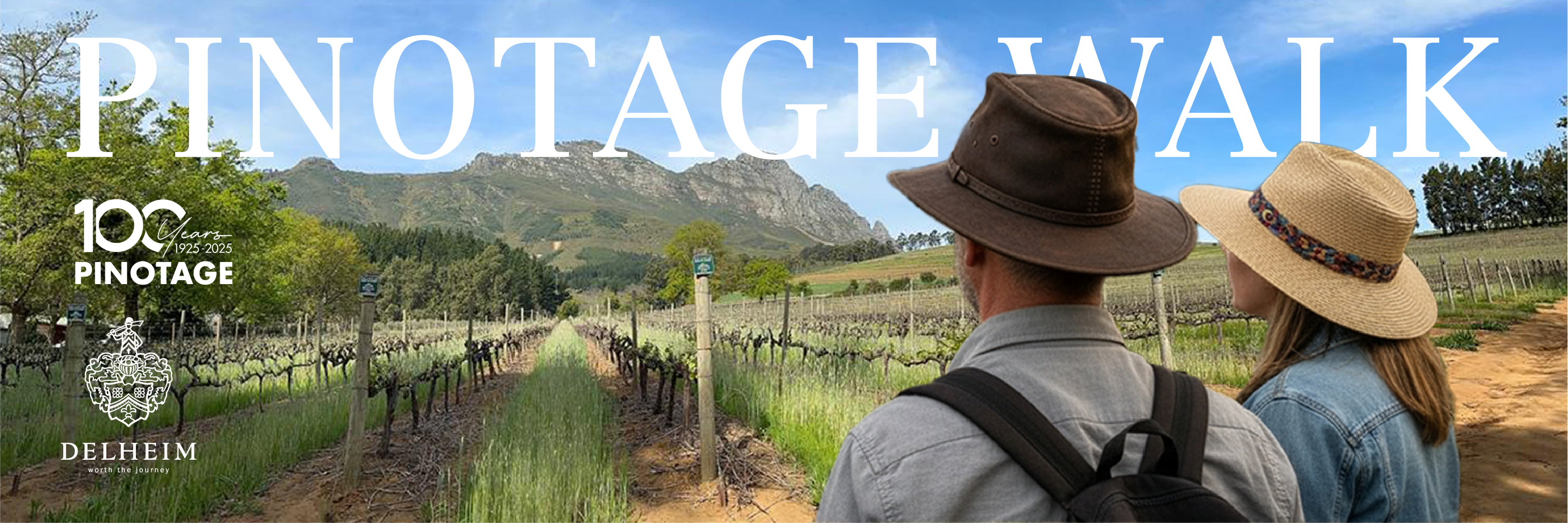 Pinotage Walk at Delheim