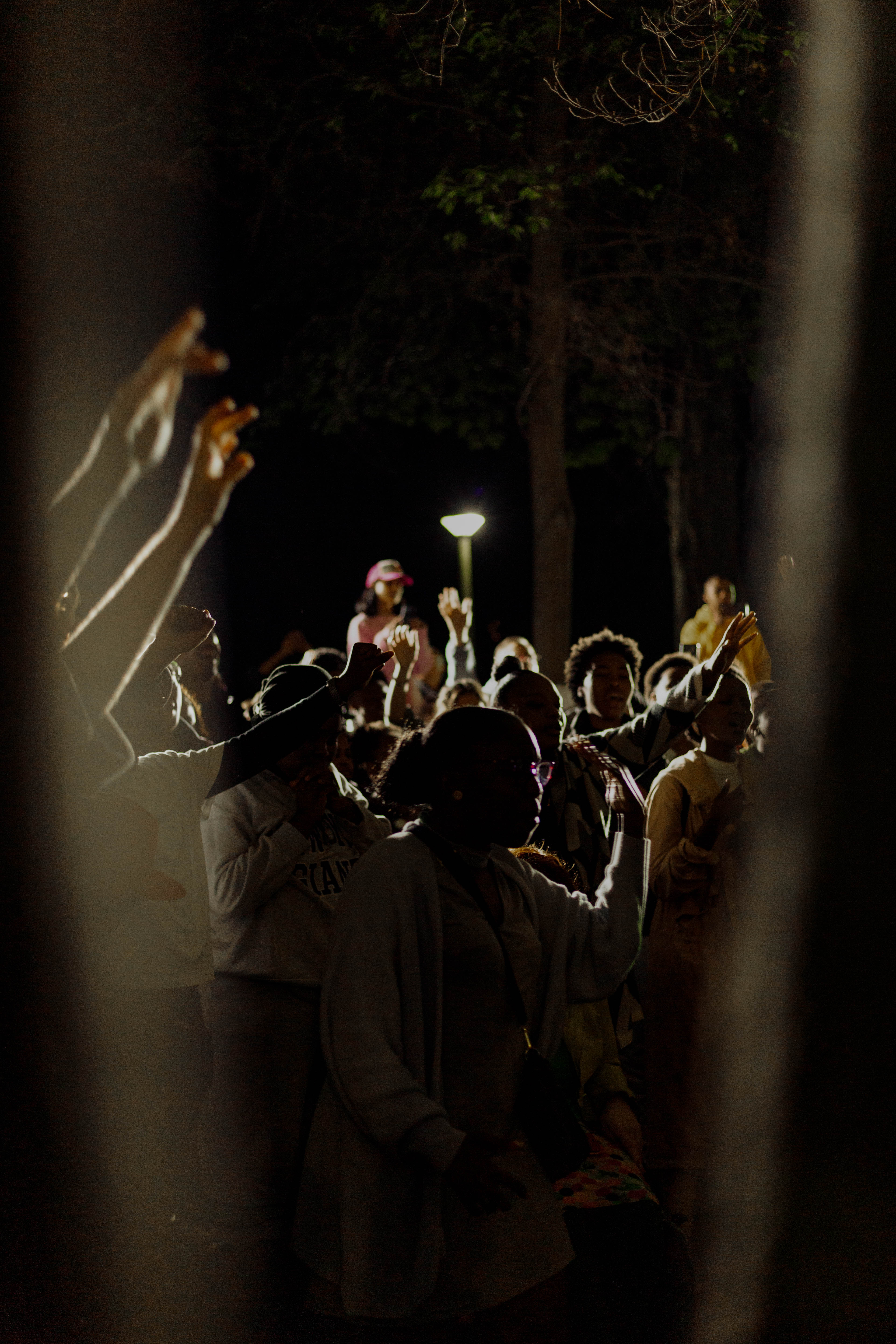 Forest Worship | Cape Town