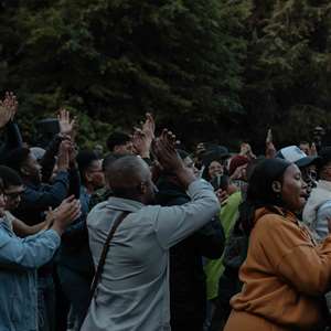 Forest Worship | Cape Town