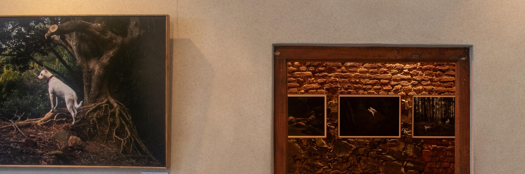 Museum of Dogs Entry Tickets