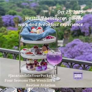 #JacarandaInYourPocket x Four Seasons The Westcliff photowalk and helicopter ride