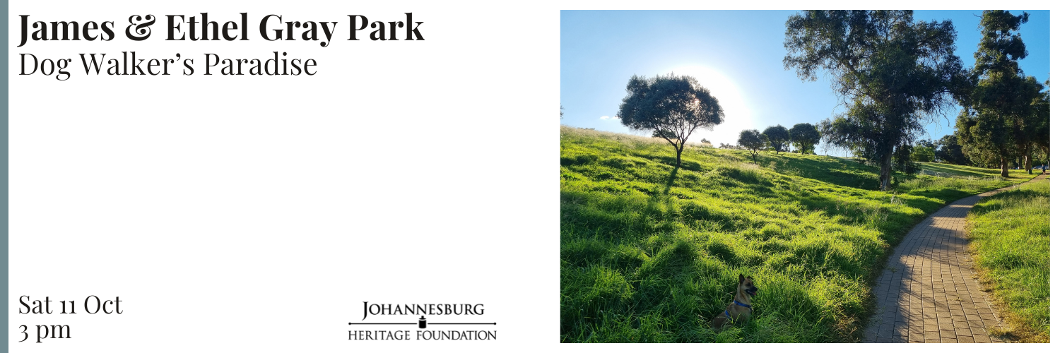 James and Ethel Gray Park - Dog Walker’s Paradise