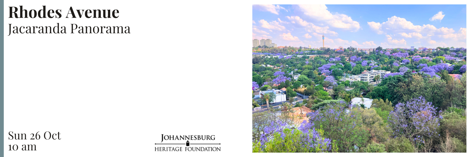Rhodes Avenue - Jacaranda Panorama