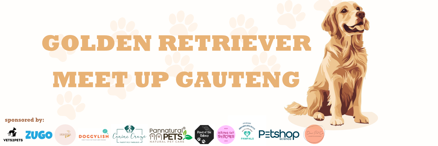 Golden Retriever Day