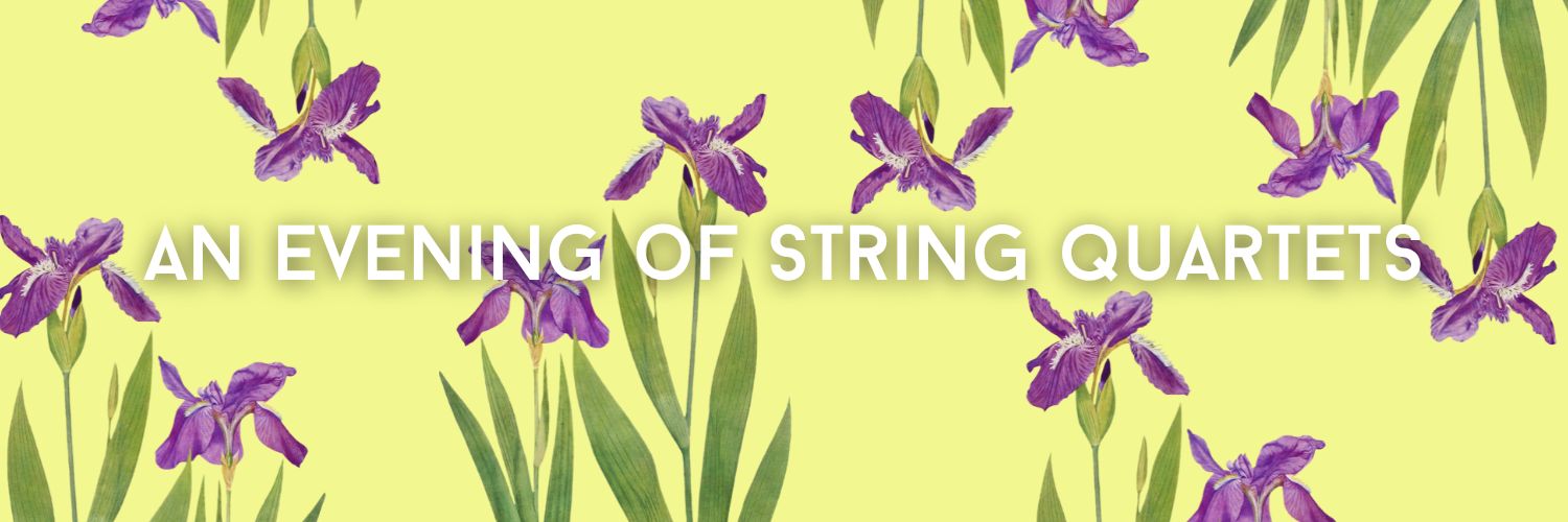 Iris Quartet at Erin Hall