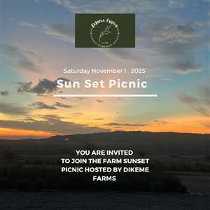 Dikeme Farms Sunset Picnic