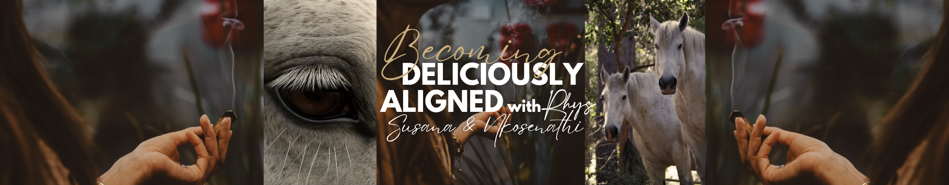 Healing with Horses, Sound, Energy & Breath - A Deliciously Human Experience