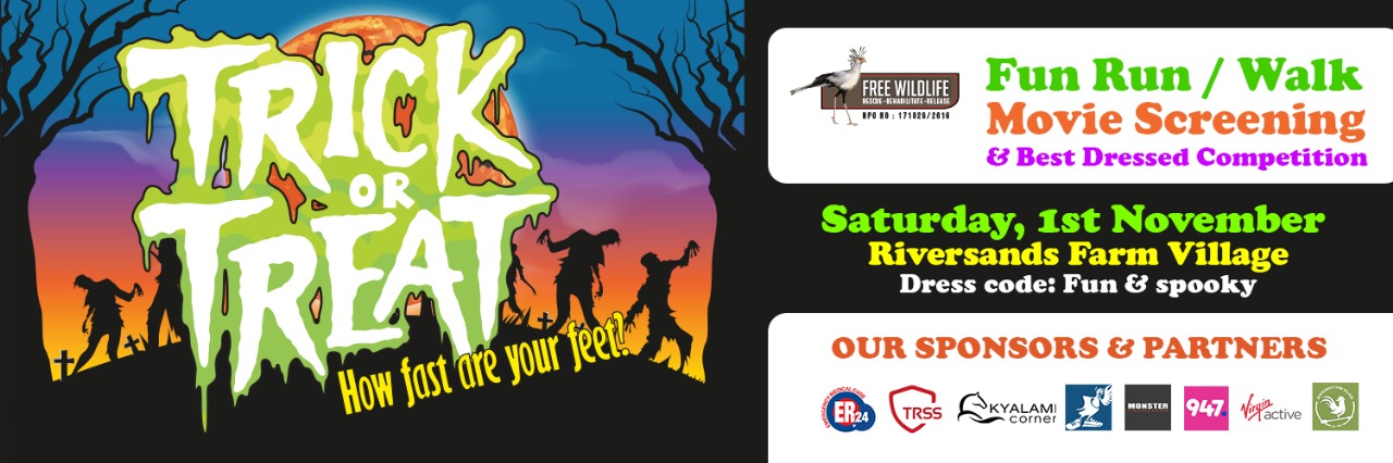 Trick or Treat Fun Run / Walk