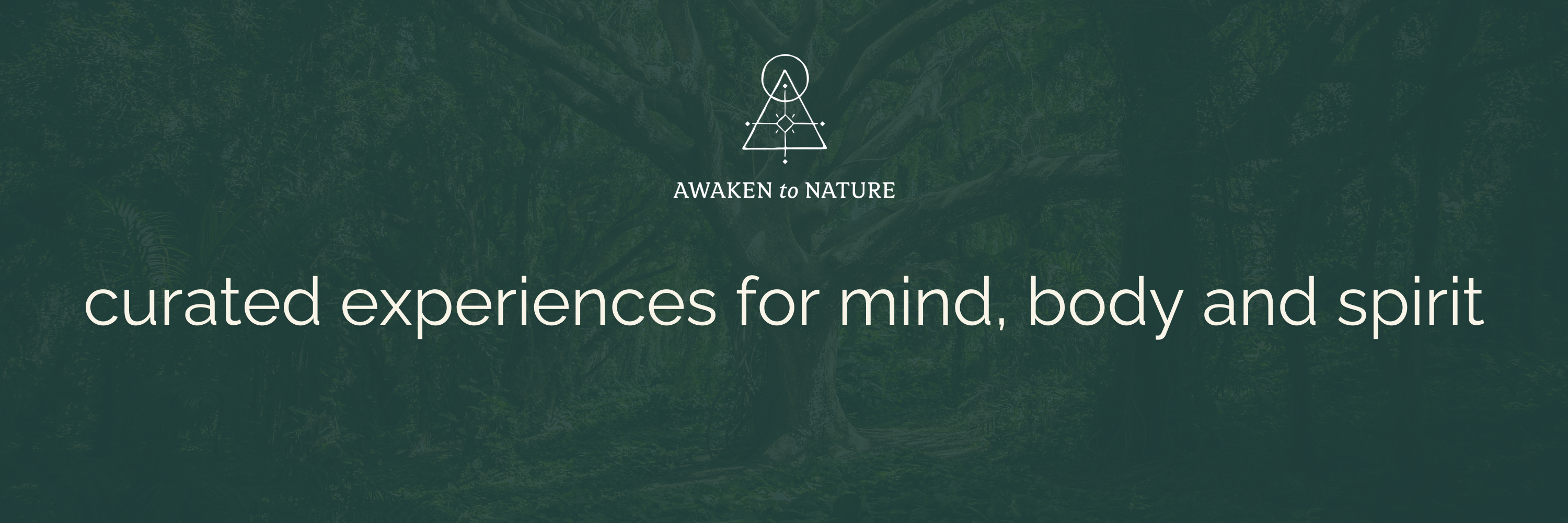 Healing Hike - Newlands Forest