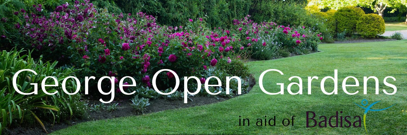 George Open Gardens